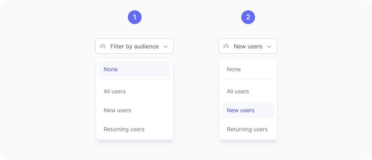 Audiences filter